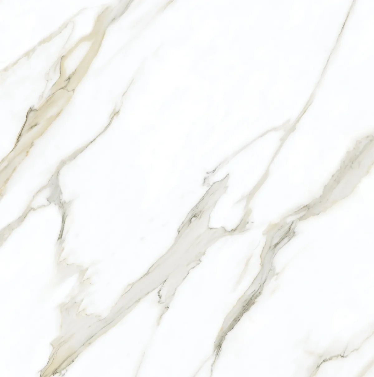 TC P2408 Ivory Fantasy